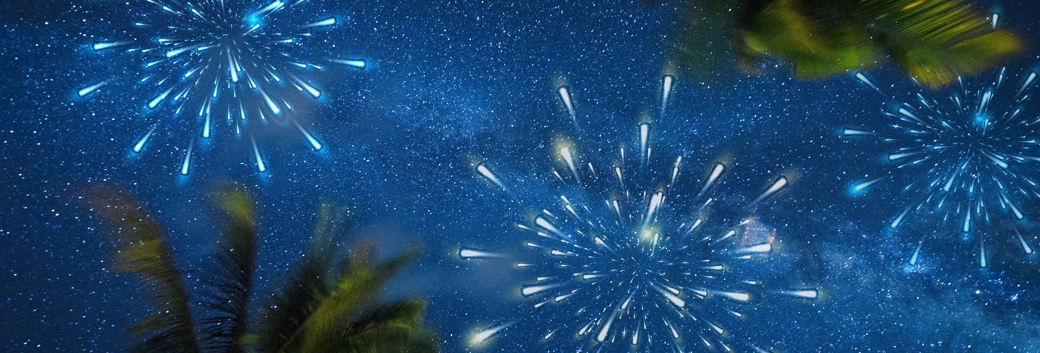 Starry night sky with palm tree silhouettes and blurred lights resembling fireworks.